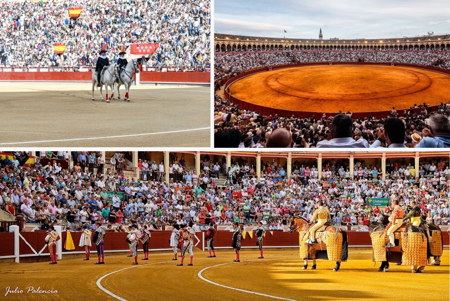 Maxitoro sortear� entre sus abonados entradas para San Isidro y Sevilla