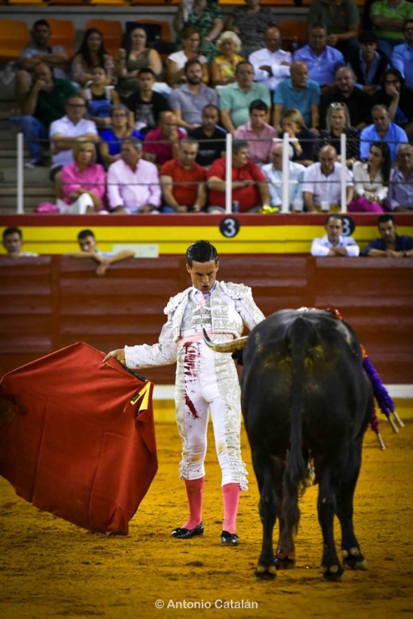  Galván sale a hombros con la corrida de Pallarés en Illescas; Téllez corta oreja y Jiménez pincha el premio