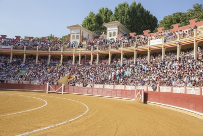 Lujo y variedad ganadera para la Champions