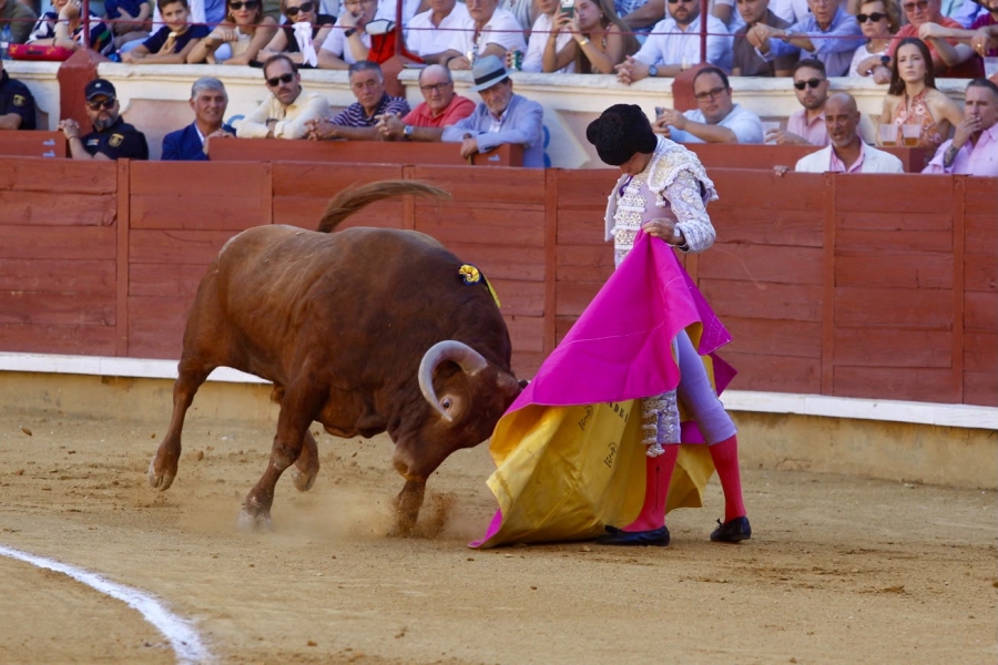 Fernando Adrián y Víctor Hernández, a hombros en la tercera corrida de San Julián; tarde de valor y firmeza de Marco Pérez Fernando Adrián y Víctor Hernández, a hombros en la tercera corrida de San Julián; tarde de valor y firmeza de Marco Pérez