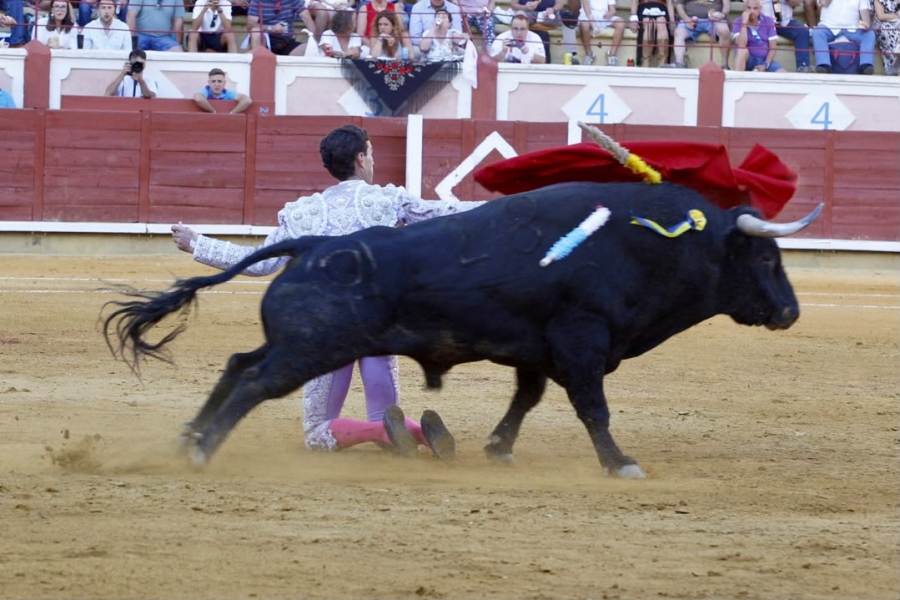 Fernando Adrián y Víctor Hernández, a hombros en la tercera corrida de San Julián; tarde de valor y firmeza de Marco Pérez Fernando Adrián y Víctor Hernández, a hombros en la tercera corrida de San Julián; tarde de valor y firmeza de Marco Pérez