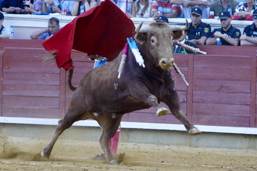 Fernando Adrián y Víctor Hernández, a hombros en la tercera corrida de San Julián; tarde de valor y firmeza de Marco Pérez Fernando Adrián y Víctor Hernández, a hombros en la tercera corrida de San Julián; tarde de valor y firmeza de Marco Pérez