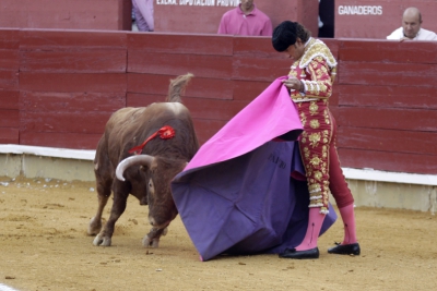 Feria de ciudad Real 2010