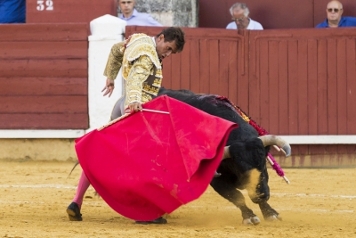 Feria de ciudad Real 2014