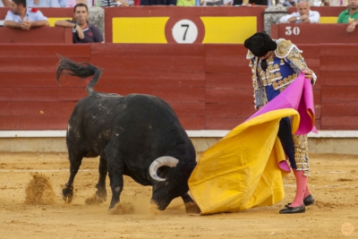 Feria de ciudad Real 2013
