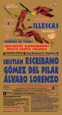 Carteles Illescas