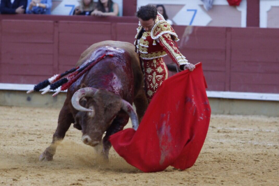 Feria de San Julián 2017