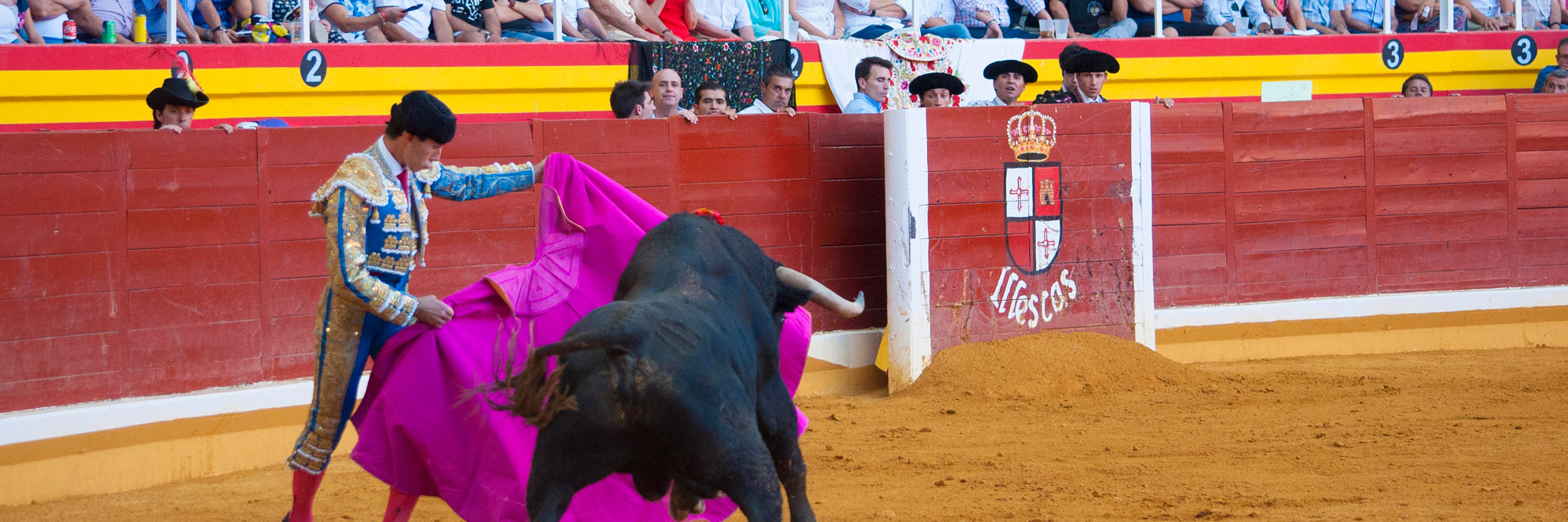 Plaza Toros Illescas